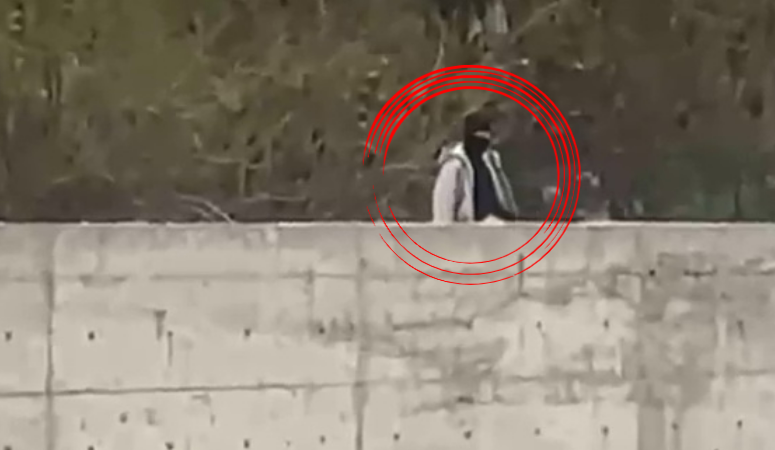 Adıyaman'ın Kahta KYK Kız Öğrenci Yurdu çevresinde görüntülenen kar maskeli