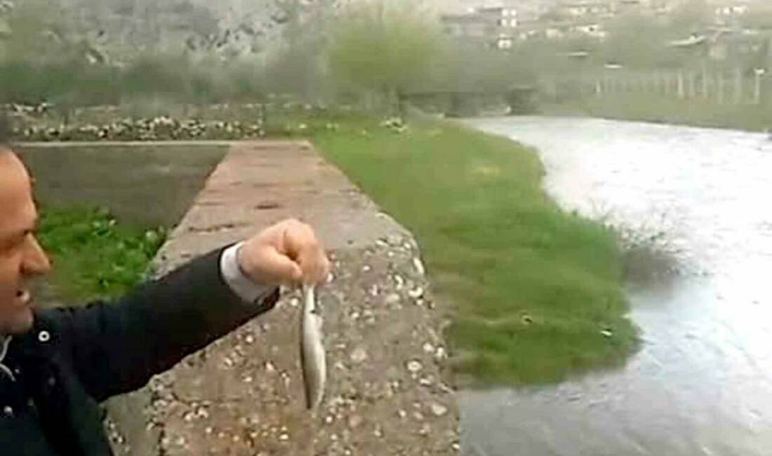 Gaziantep’in Araban ilçesinde etkili olan yağışların ardından Ardıl Çayı yıllar