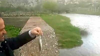 Gaziantep’in Araban ilçesinde etkili olan yağışların ardından Ardıl Çayı yıllar