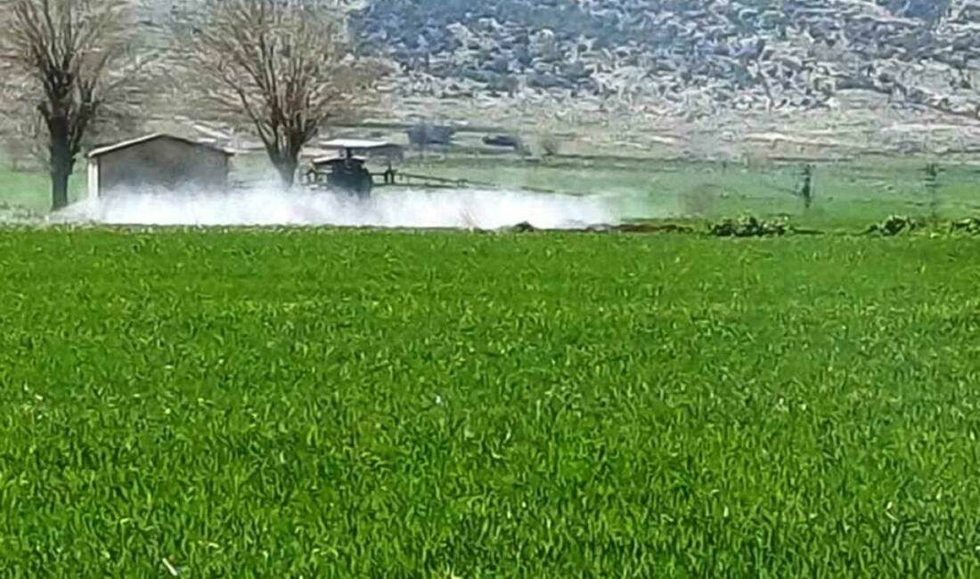 Araban Ziraat Odası ve Sarımsak Üretici Birliği Başkanı Hasan Altun,