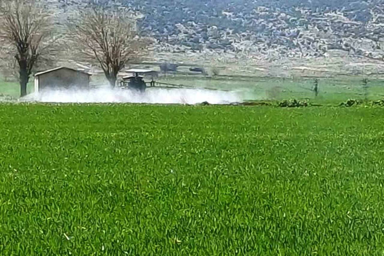 Araban Ziraat Odası ve Sarımsak Üretici Birliği Başkanı Hasan Altun,