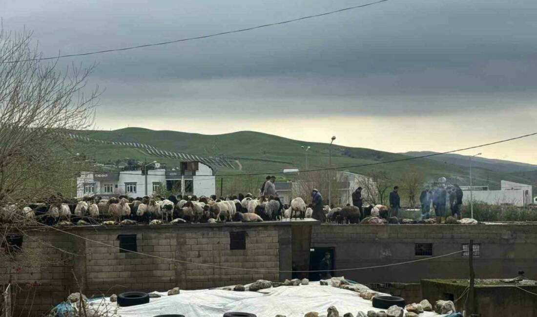 Siirt’in Kurtalan ilçesinde etkili olan sağanak yağış, sel felaketine yol