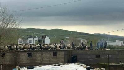 Siirt’in Kurtalan ilçesinde etkili olan sağanak yağış, sel felaketine yol