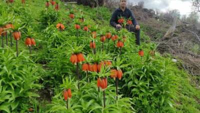 Batman’ın Sason ilçesinde baharın gelişiyle birlikte doğa yeniden canlanırken, yüksek