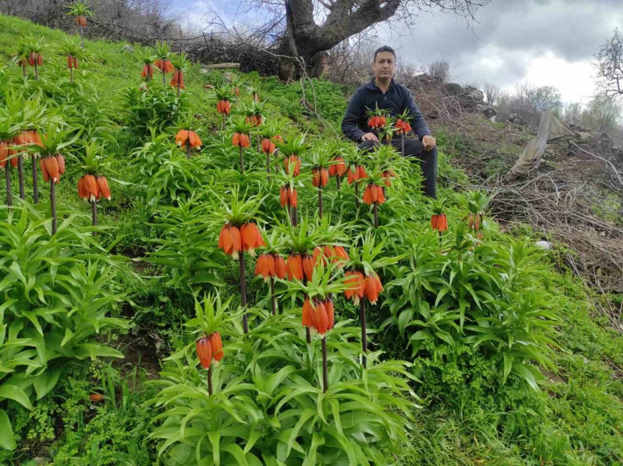 Batman’ın Sason ilçesinde baharın gelişiyle birlikte doğa yeniden canlanırken, yüksek