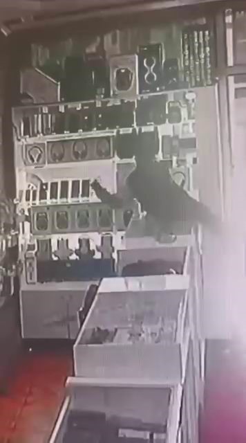 Diyarbakır’da bir çocuk, girdiği telefoncu dükkanında, masanın üzerine çıkıp vitrinde