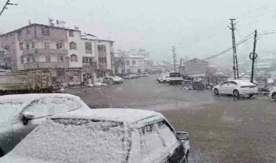 Adıyaman’ın Çelikhan ilçesinde kar yağışı etkili oldu.