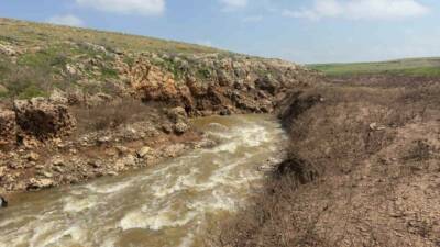 Şanlıurfa’nın Ceylanpınar ilçesinde her yıl büyük merak uyandıran ve bu