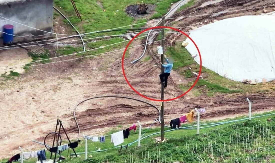 Dicle Elektrik, Diyarbakır’ın Hazro ilçesine bağlı Sarıerik Mahallesi’nde bir konut