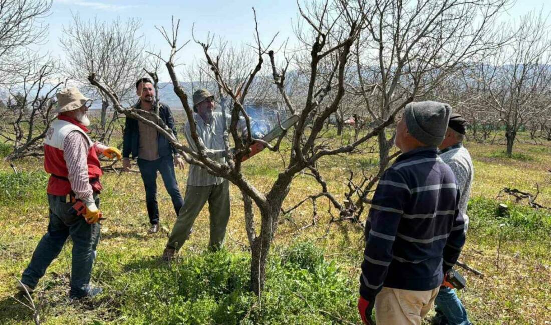 Trabzon hurmasında Türkiye’nin önemli üretim merkezlerinden birisi olan Adıyaman’ın Gölbaşı