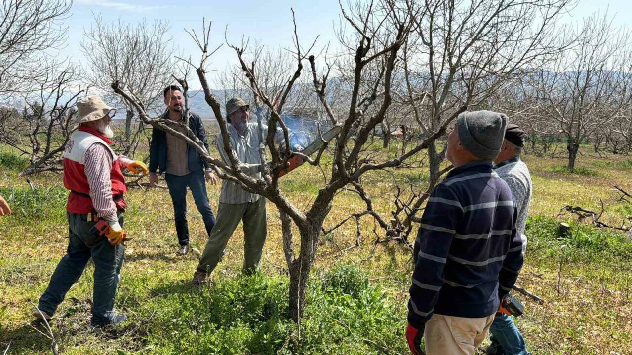 Trabzon hurmasında Türkiye’nin önemli üretim merkezlerinden birisi olan Adıyaman’ın Gölbaşı