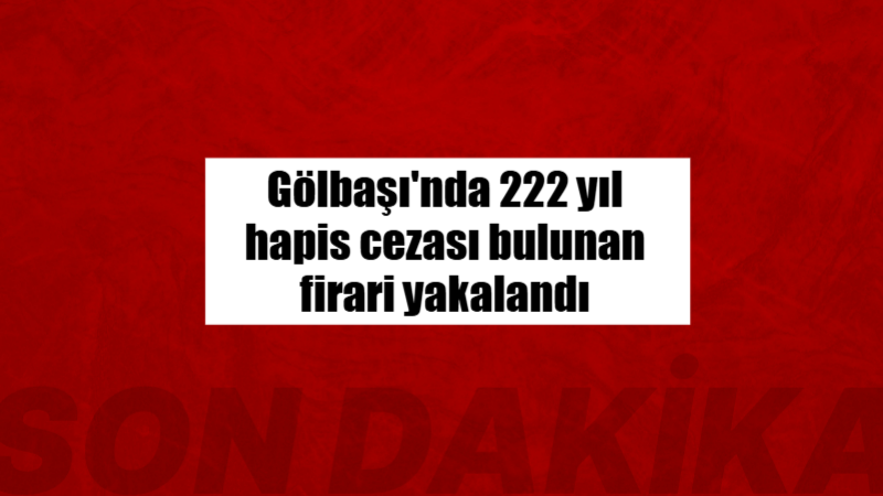 Adıyaman’ın Gölbaşı ilçesinde hakkında 84 ayrı dosyadan toplam 222 yıl