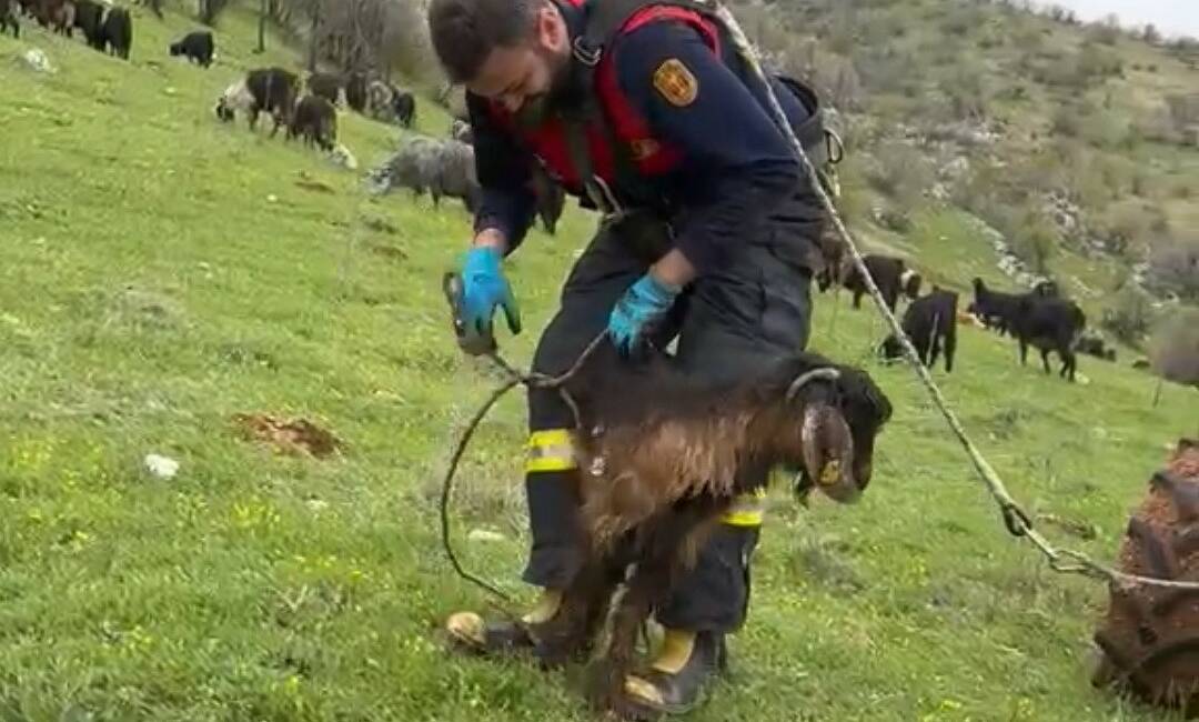 Adıyaman’ın Gölbaşı ilçesinde su kuyusuna düşen bir keçi, itfaiye ekiplerinin