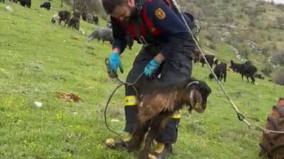 Adıyaman’ın Gölbaşı ilçesinde su kuyusuna düşen bir keçi, itfaiye ekiplerinin