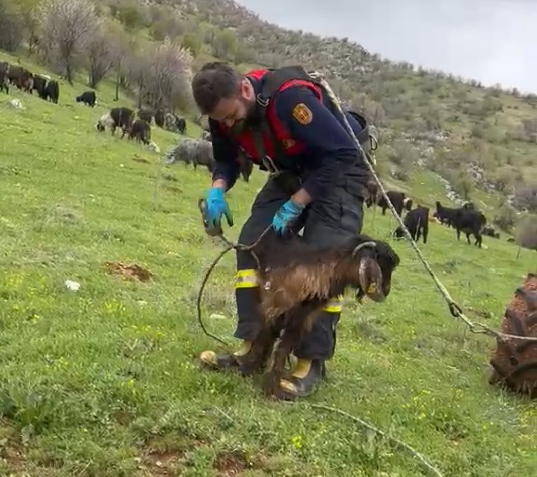 Adıyaman’ın Gölbaşı ilçesinde su kuyusuna düşen bir keçi, itfaiye ekiplerinin