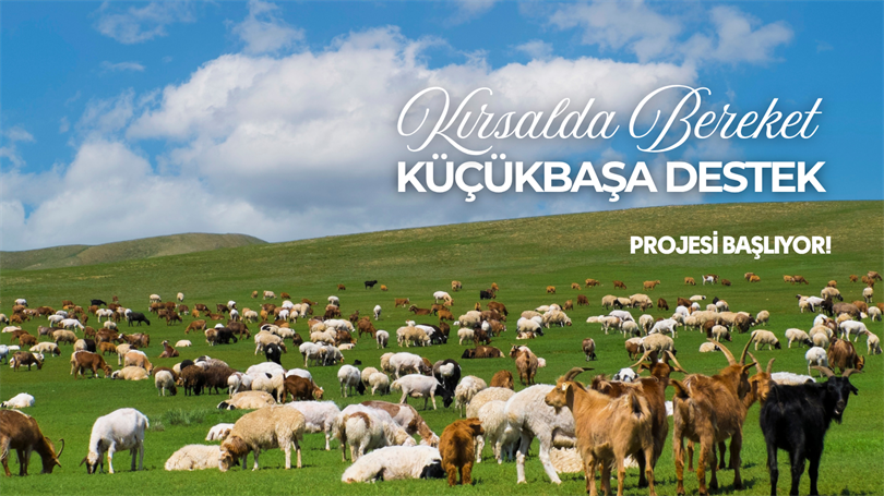 Tarım ve Orman Bakanlığı tarafından hayata geçirilen “Kırsalda Bereket Küçükbaş