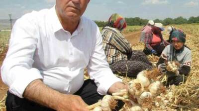 Gaziantep’in Araban ilçesi Ziraat Odası ve Sarımsak Üretici Birliği Başkanı