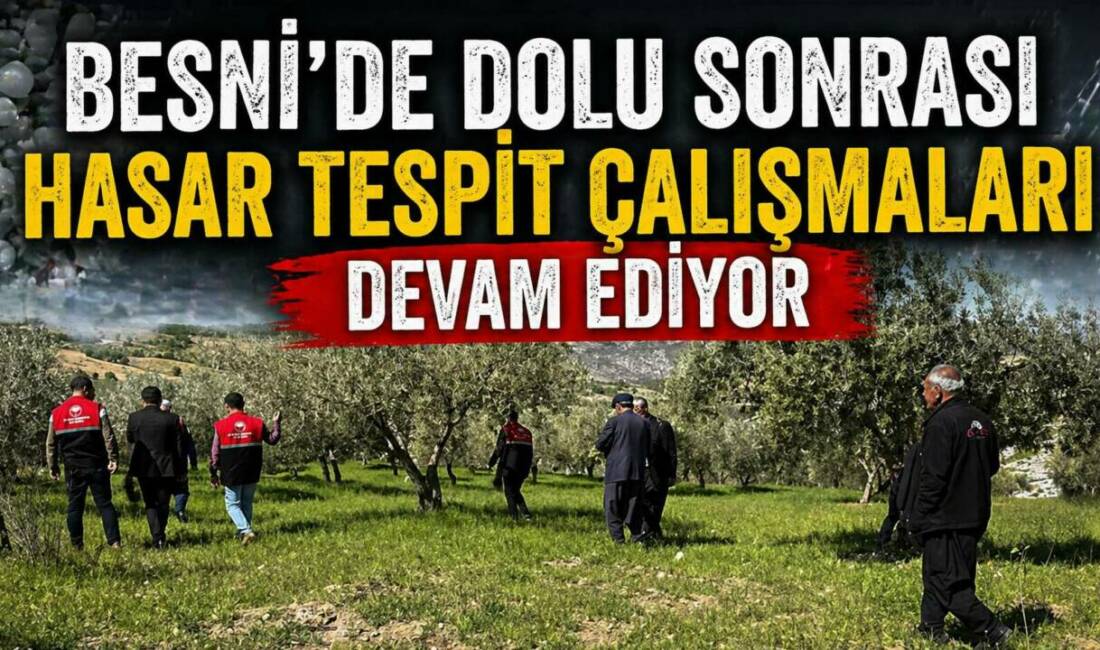 Adıyaman’da etkili olan dolu yağışı nedeniyle ağaçlar zarar gördü. Tarım