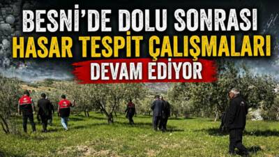 Adıyaman’da etkili olan dolu yağışı nedeniyle ağaçlar zarar gördü. Tarım