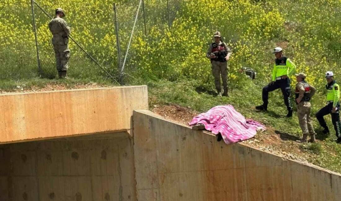 Şanlıurfa'nın Birecik ilçesinde 2 gün önce kaybolan 15 yaşındaki Muzaffer