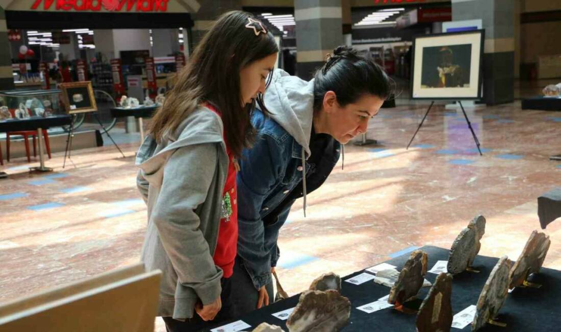 "Köklerden Geleceğe" mottosuyla hazırlanan "İl İl Türkiye" sergisi, Diyarbakır’da sanatseverlerle