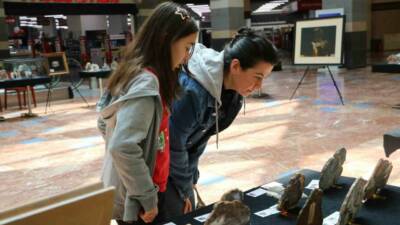 "Köklerden Geleceğe" mottosuyla hazırlanan "İl İl Türkiye" sergisi, Diyarbakır’da sanatseverlerle