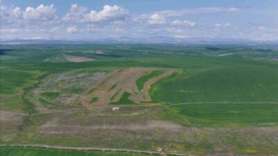 Diyarbakır’ın Sur ilçesinde 250 dönüm ekili buğday tarlası, iddiaya göre