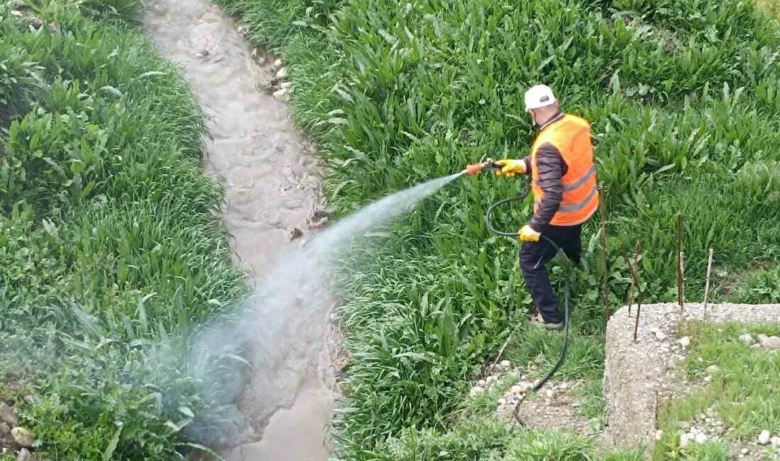 Adıyaman’ın Kahta ilçe Belediyesi, yaz aylarına hazırlık kapsamında çevre temizliği
