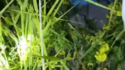 Şanlıurfa’nın Birecik ilçesinde kayalıklarda mahsur kalan 7 ve 8 yaşındaki