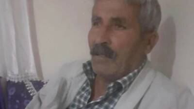 İneğini kovalarken ana yola çıkan kişi, bir aracın çarpması sonucu