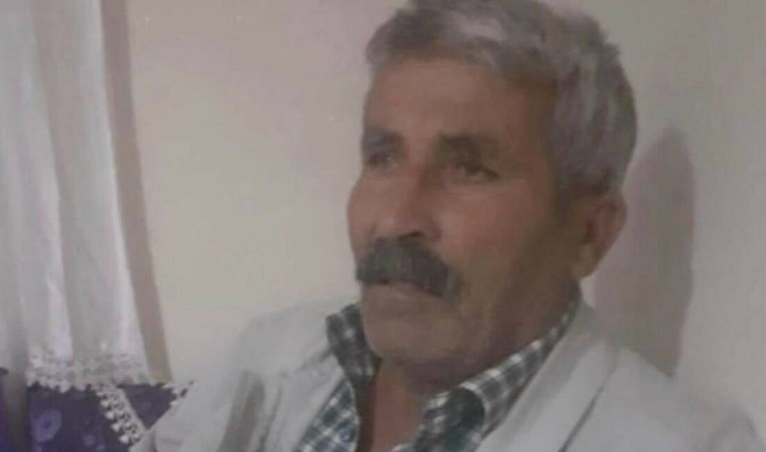 İneğini kovalarken ana yola çıkan kişi, bir aracın çarpması sonucu