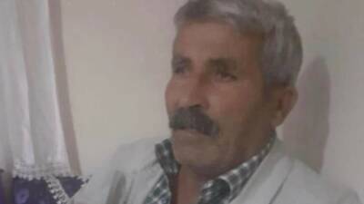 İneğini kovalarken ana yola çıkan kişi, bir aracın çarpması sonucu