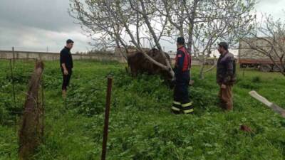 Mardin’in Artuklu ilçesinde, kuyuya düşen inek, itfaiye ekiplerince kurtarıldı.