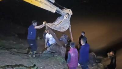 Cizre'de otlayan inek, Dicle Nehri'ne düşerek mahsur kaldı ve itfaiye