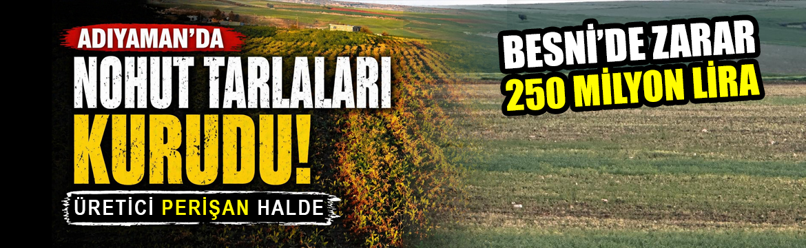 Son bir ayda etkili olan