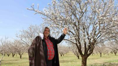 Türkiye’de Antep fıstığının en çok yetiştirildiği il olan Şanlıurfa, badem