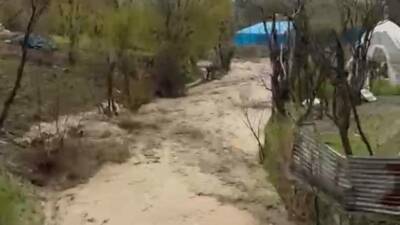 Şırnak’ın Uludere ilçesindeki Taşdelen köyünde, aniden yükselen sel suları nedeniyle