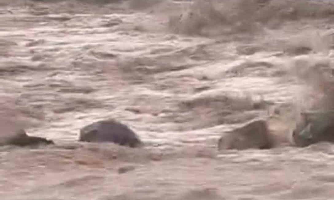 Şanlıurfa’nın Siverek ilçesinde etkili olan sağanak yağış, kısa sürede sele