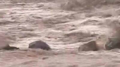 Şanlıurfa’nın Siverek ilçesinde etkili olan sağanak yağış, kısa sürede sele