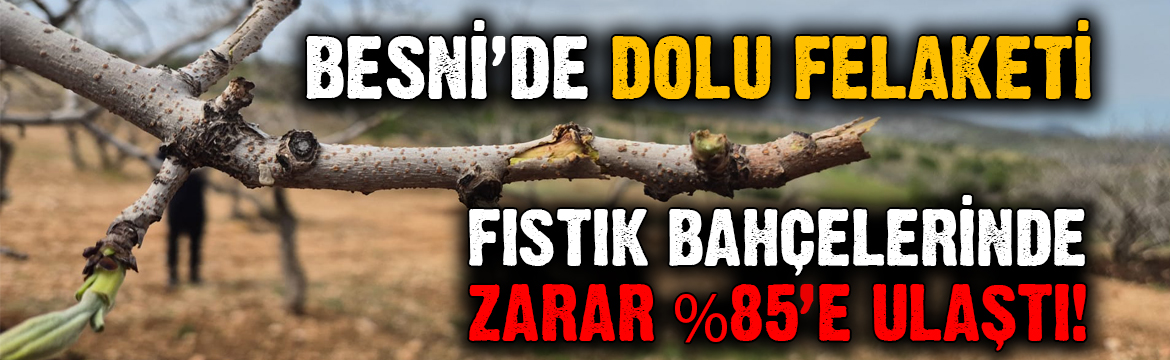 Besni’de etkili olan dolu yağışı