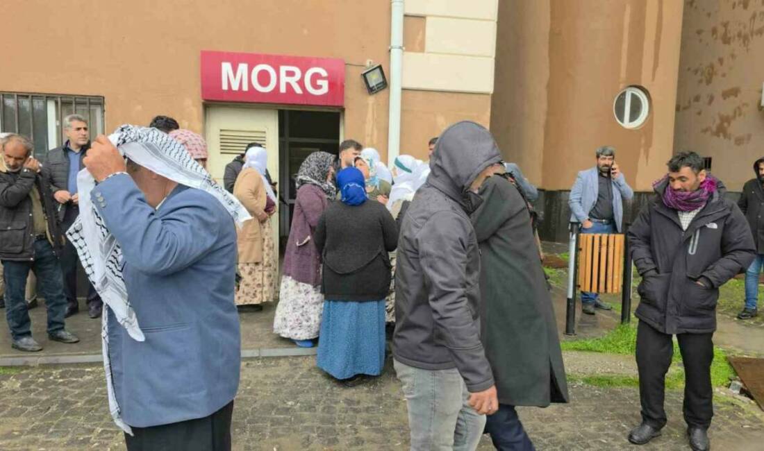 Diyarbakır’ın Ergani ilçesinde yıldırım çarpması sonucu ağır yaralanan 3 kuzenden