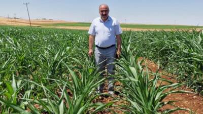 DEVA Partisi Adıyaman İl Başkanı Mehmet Anaç, Adıyaman'da tütün alım