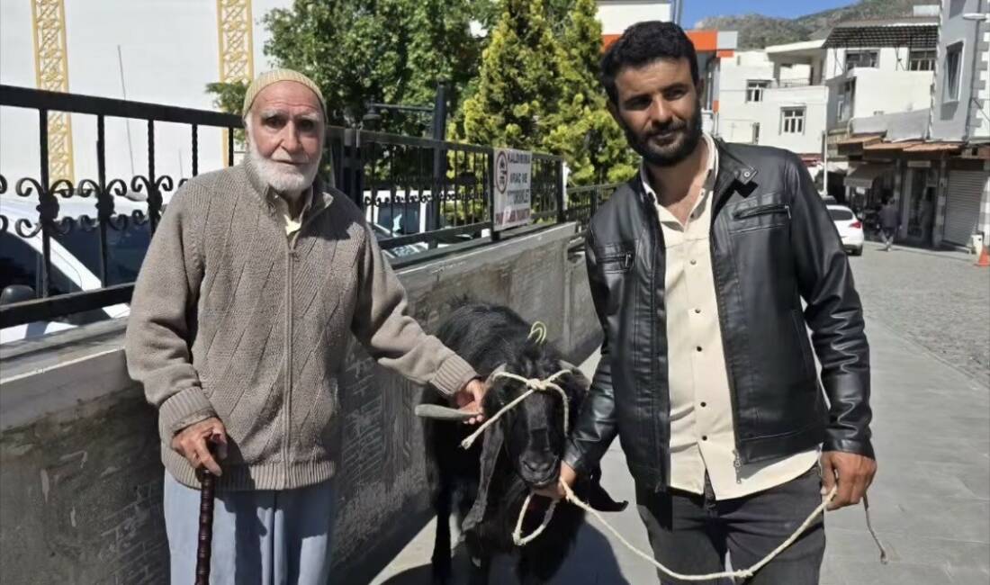 Diyarbakır’ın Çermik ilçesinde kurbanlık telaşı devam ederken, bir besici 70
