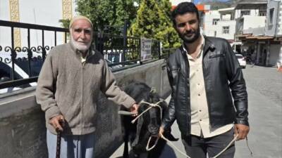 Diyarbakır’ın Çermik ilçesinde kurbanlık telaşı devam ederken, bir besici 70