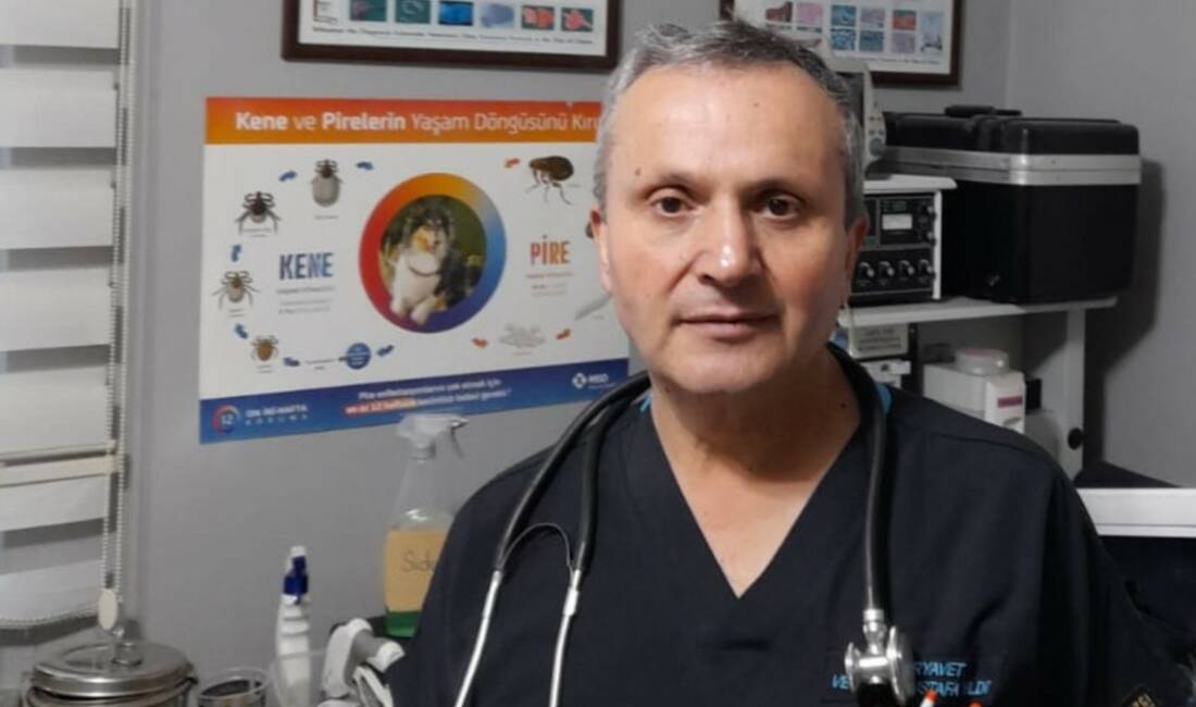 Veteriner Hekim Mustafa Yıldız, Kurban Bayramı süresince kurban kesimi ve