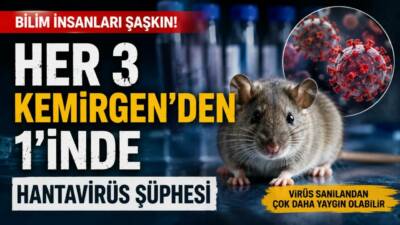 ABD’de yürütülen yeni bir araştırma, hantavirüsün sanılandan çok daha yaygın