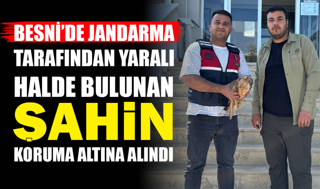 Besni’nin Uzunkuyu köyünde, devriye görevi sırasında yaralı halde bulunan şahin,