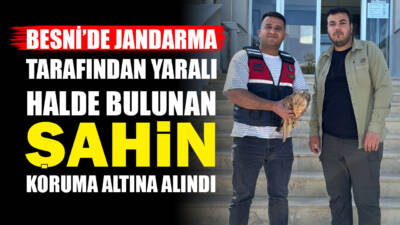 Besni’nin Uzunkuyu köyünde, devriye görevi sırasında yaralı halde bulunan şahin,
