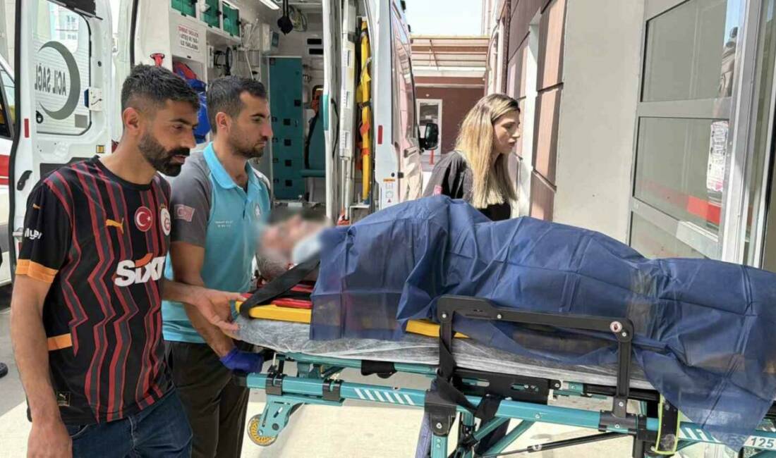 Adıyaman'da Kurban Bayramı'nın birinci gününde kurban kesimi sırasında acemi kasaplar