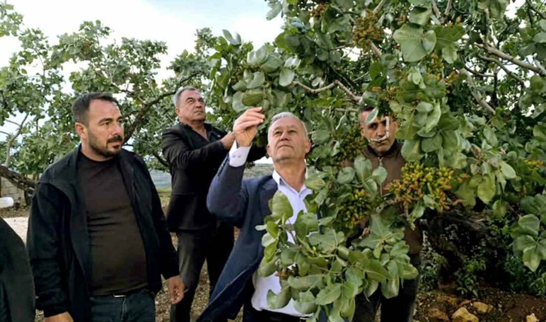 Araban Ziraat Odası ve Sarımsak Üretici Birliği Başkanı Hasan Altun,